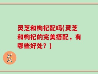 灵芝和枸杞配吗(灵芝和枸杞的完美搭配，有哪些好处？)