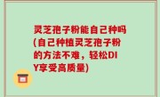 灵芝孢子粉能自己种吗(自己种植灵芝孢子粉的方法不难，轻松DIY享受高质量)