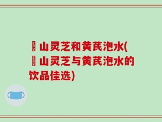 矷山灵芝和黄芪泡水(矷山灵芝与黄芪泡水的饮品佳选)