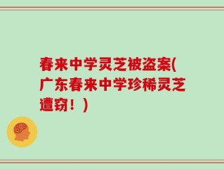 春来中学灵芝被盗案(广东春来中学珍稀灵芝遭窃！)