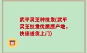 武平灵芝种批发(武平灵芝批发优质原产地，快速送货上门)