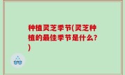 种植灵芝季节(灵芝种植的最佳季节是什么？)