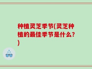 种植灵芝季节(灵芝种植的最佳季节是什么？)