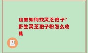 山里如何找灵芝孢子？野生灵芝孢子粉怎么收集