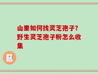 山里如何找灵芝孢子？野生灵芝孢子粉怎么收集