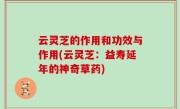 云灵芝的作用和功效与作用(云灵芝：益寿延年的神奇草药)