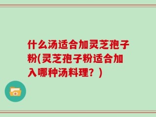 什么汤适合加灵芝孢子粉(灵芝孢子粉适合加入哪种汤料理？)