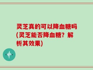 灵芝真的可以降血糖吗(灵芝能否降血糖？解析其效果)