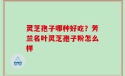 灵芝孢子哪种好吃？芳兰名叶灵芝孢子粉怎么样