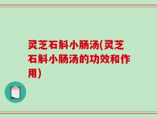 灵芝石斛小肠汤(灵芝石斛小肠汤的功效和作用)