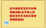 在平地种灵芝好不好呢视频讲解(在平地上种植灵芝的方法和注意事项视频指南)