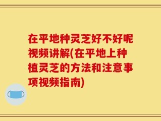 在平地种灵芝好不好呢视频讲解(在平地上种植灵芝的方法和注意事项视频指南)