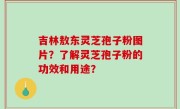 吉林敖东灵芝孢子粉图片？了解灵芝孢子粉的功效和用途？