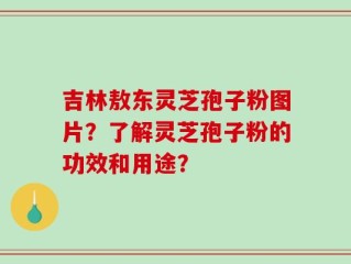 吉林敖东灵芝孢子粉图片？了解灵芝孢子粉的功效和用途？