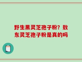 野生黑灵芝孢子粉？敖东灵芝孢子粉是真的吗