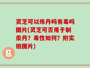 灵芝可以炼丹吗有毒吗图片(灵芝可否用于制汞丹？毒性如何？附实拍图片)