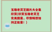 玉雕老灵芝图片大全集欣赏(欣赏玉雕老灵芝完美图案，尽情畅想加持正能量！)