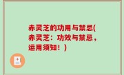 赤灵芝的功用与禁忌(赤灵芝：功效与禁忌，运用须知！)