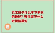 灵芝孢子什么季节采收的最好？野生灵芝什么时候摘最好