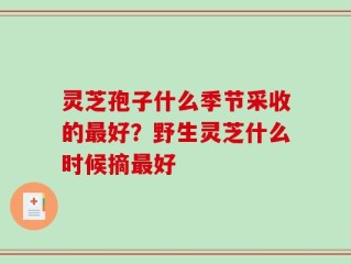 灵芝孢子什么季节采收的最好？野生灵芝什么时候摘最好
