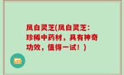 凤白灵芝(凤白灵芝：珍稀中药材，具有神奇功效，值得一试！)