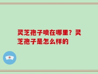 灵芝孢子喷在哪里？灵芝孢子是怎么样的