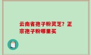 云南省孢子粉灵芝？正宗孢子粉哪里买