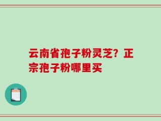 云南省孢子粉灵芝？正宗孢子粉哪里买