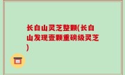长白山灵芝整颗(长白山发现壹颗重磅级灵芝)