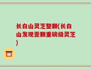 长白山灵芝整颗(长白山发现壹颗重磅级灵芝)