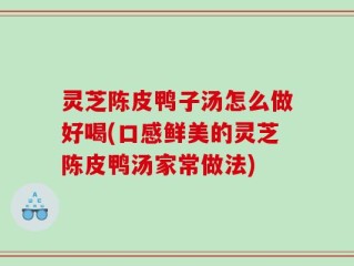 灵芝陈皮鸭子汤怎么做好喝(口感鲜美的灵芝陈皮鸭汤家常做法)