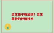 灵芝孢子粉加热？灵芝菌种的种植技术