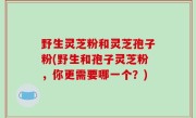 野生灵芝粉和灵芝孢子粉(野生和孢子灵芝粉，你更需要哪一个？)