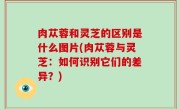 肉苁蓉和灵芝的区别是什么图片(肉苁蓉与灵芝：如何识别它们的差异？)