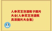 人参灵芝泡酒瓶子图片大全(人参灵芝泡酒瓶高清图片大合集)