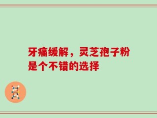 牙痛缓解，灵芝孢子粉是个不错的选择