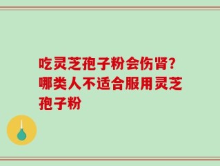吃灵芝孢子粉会伤肾？哪类人不适合服用灵芝孢子粉