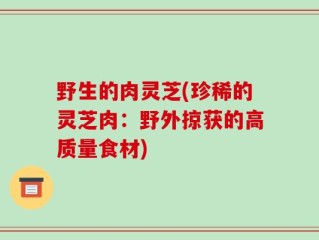 野生的肉灵芝(珍稀的灵芝肉：野外掠获的高质量食材)
