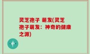 灵芝孢子 萌发(灵芝孢子萌发：神奇的健康之源)