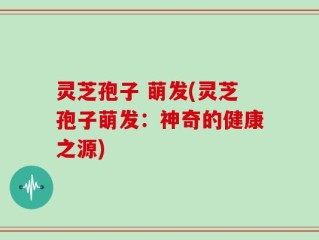 灵芝孢子 萌发(灵芝孢子萌发：神奇的健康之源)