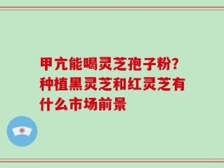 甲亢能喝灵芝孢子粉？种植黑灵芝和红灵芝有什么市场前景