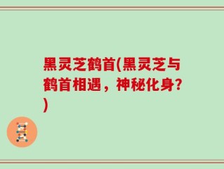 黑灵芝鹤首(黑灵芝与鹤首相遇，神秘化身？)