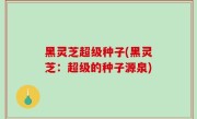黑灵芝超级种子(黑灵芝：超级的种子源泉)