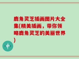 鹿角灵芝插画图片大全集(精美插画，带你领略鹿角灵芝的美丽世界)