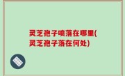 灵芝孢子喷落在哪里(灵芝孢子落在何处)