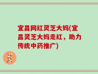 宜昌网红灵芝大妈(宜昌灵芝大妈走红，助力传统中药推广)