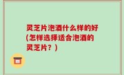 灵芝片泡酒什么样的好(怎样选择适合泡酒的灵芝片？)