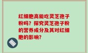 红细胞高能吃灵芝孢子粉吗？探究灵芝孢子粉的营养成分及其对红细胞的影响？