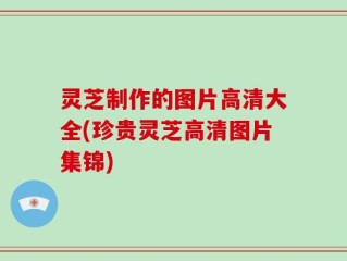 灵芝制作的图片高清大全(珍贵灵芝高清图片集锦)