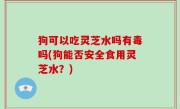 狗可以吃灵芝水吗有毒吗(狗能否安全食用灵芝水？)